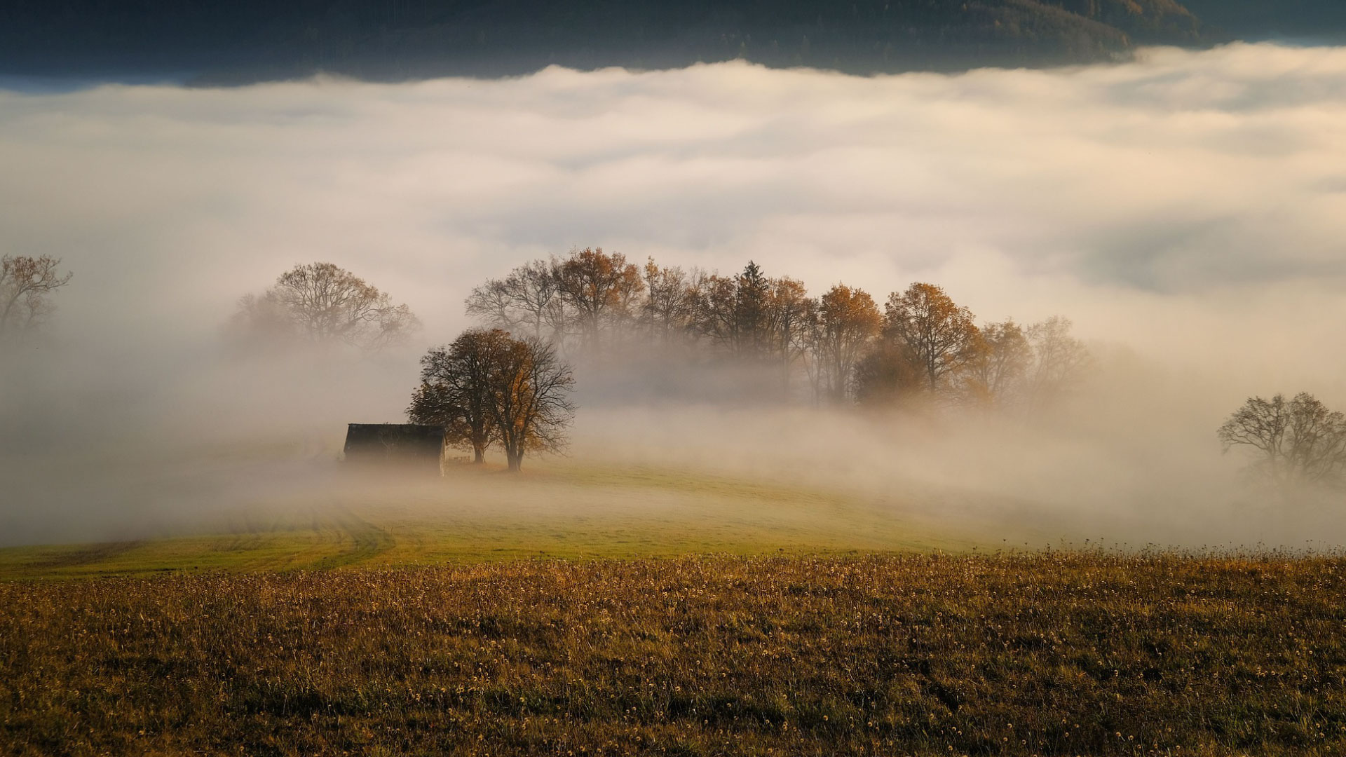 A la recherche des héritiers d’un terrain abandonné