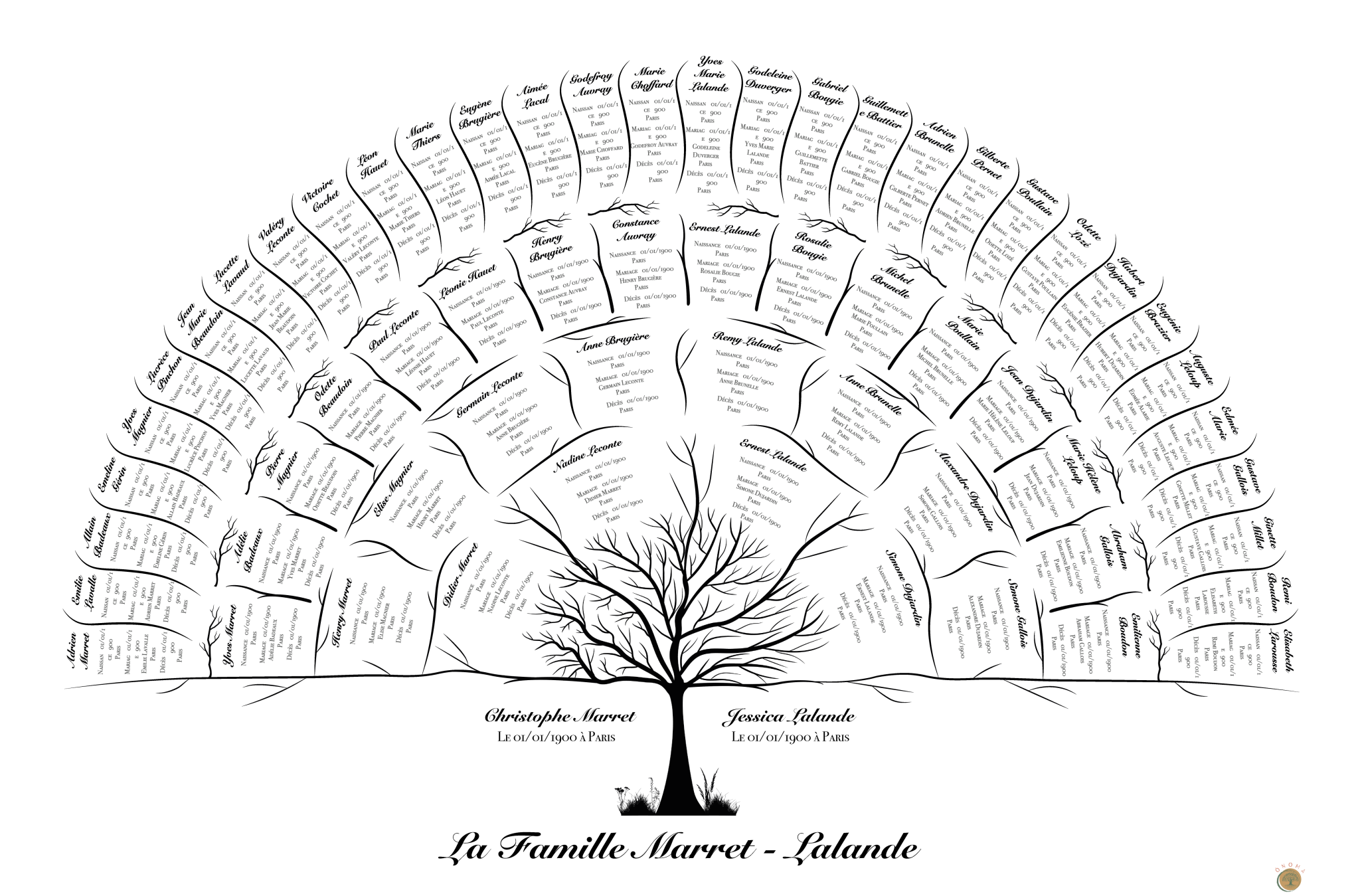 Studio di genealogia Ónoma - Nuovi trend di albero genealogico