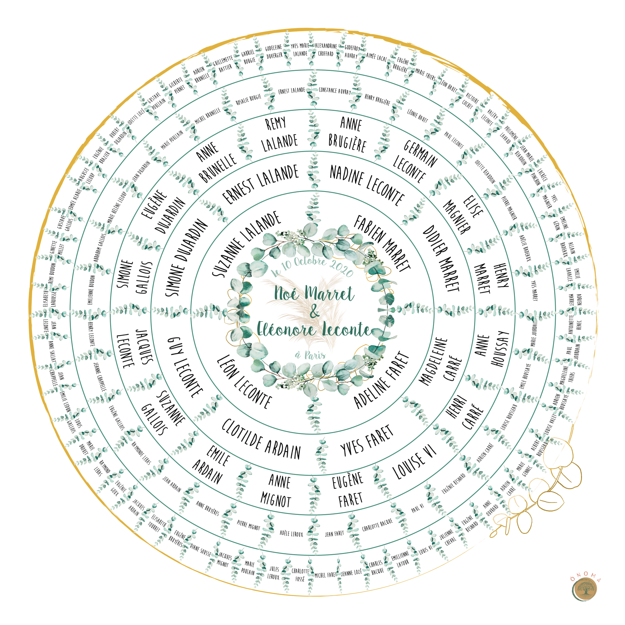 Arbre généalogique rond